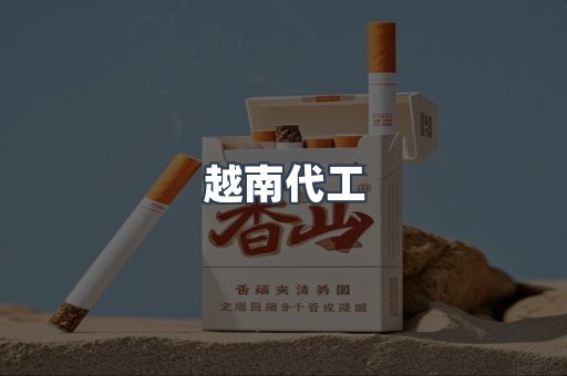 越南代工